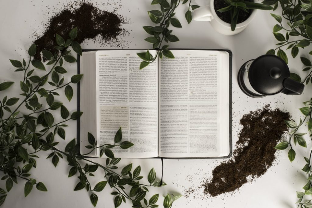 Bible with leaves around it