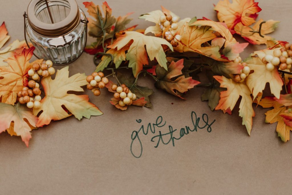 Thanksgiving leaves