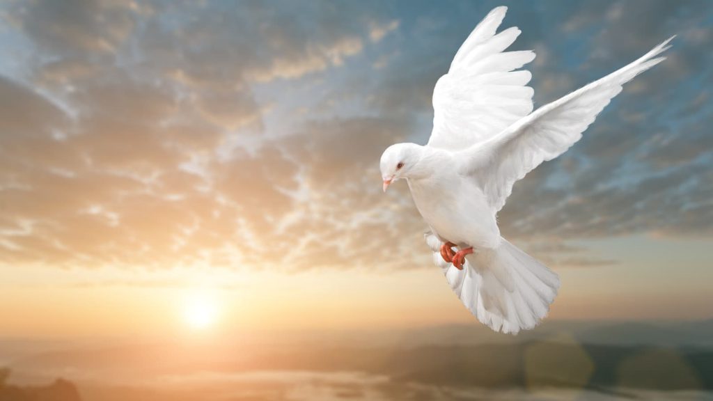 Holy Spirit in the form of a dove