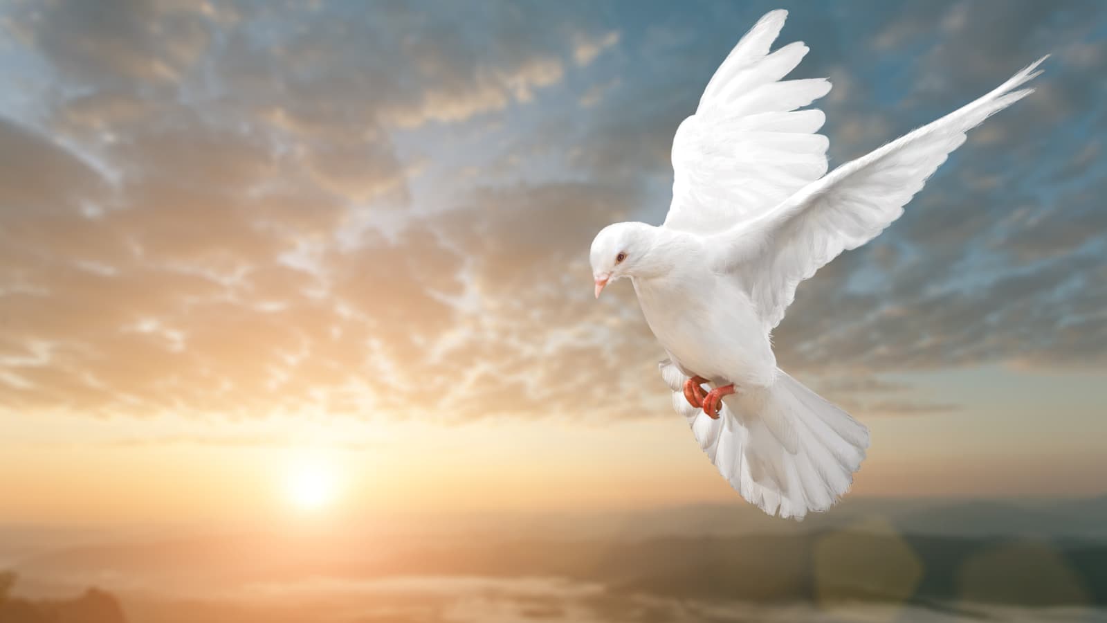 Holy Spirit in the form of a dove